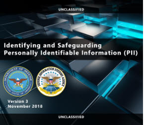 Identifying and Safeguarding PII